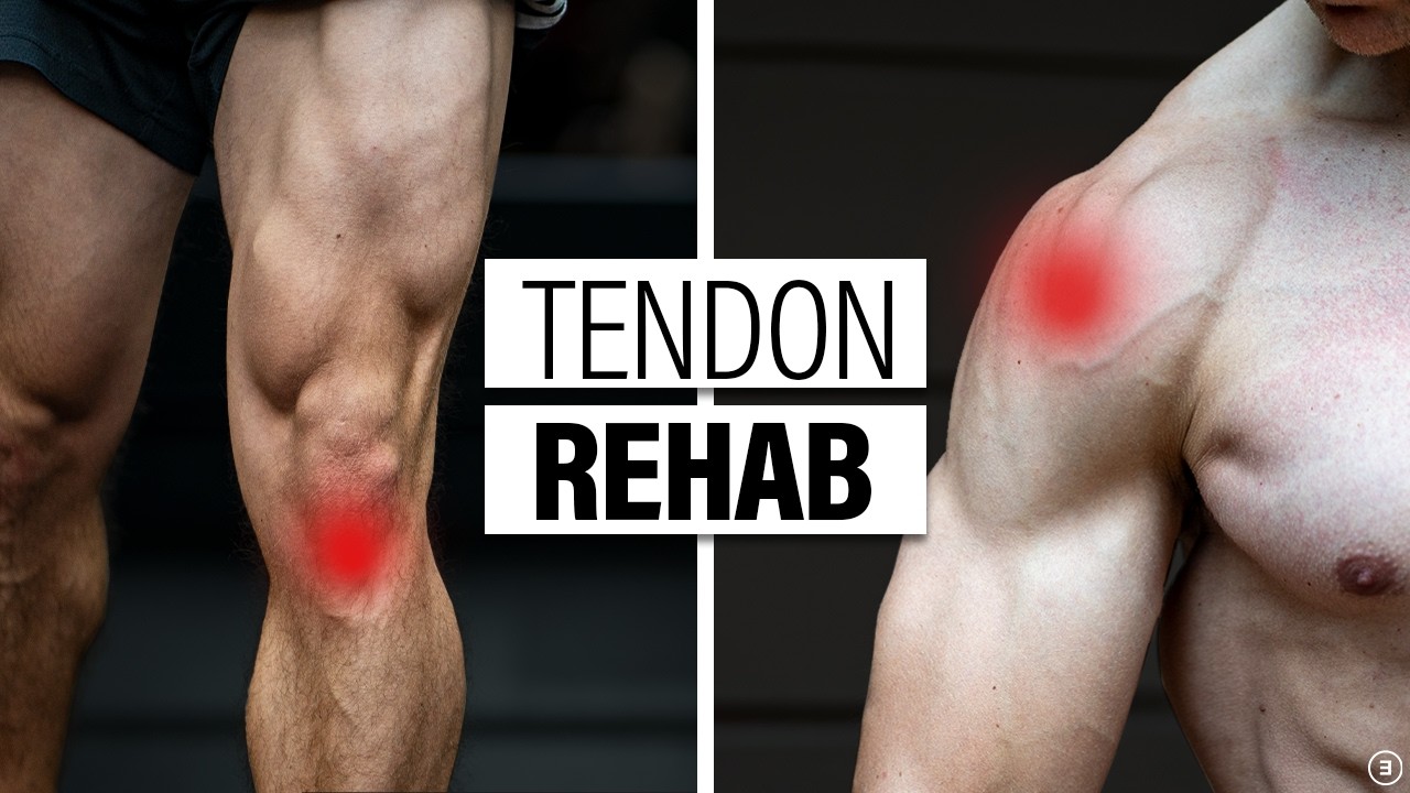 How To Rehab Tendon Injuries & Pain (Exercises & Education for Tendinitis, Tendinosis, Tendinopathy)