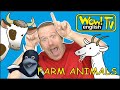 Steve and Maggie with Farm Animals | Free Animal Song for Kids from Wow English TV