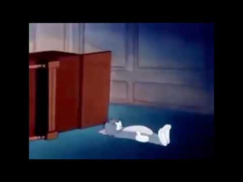 AR35 X Kanine SG - Ceiling Fan(Official Visualizer)