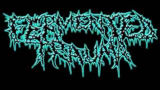Fermented Trauma - Enshrouded Substance