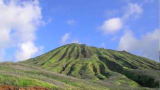 Overwhelming Gratitude for Life