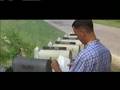 Spot Apple Apple Forrest Gump