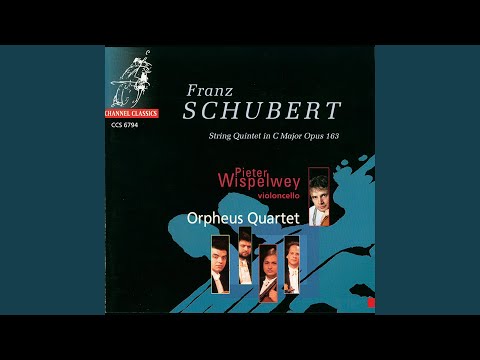 String Quintet in C Major, Op. 163, D. 956: I. Allegro ma non troppo