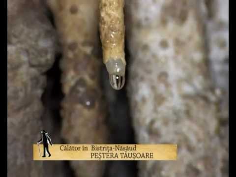 promo Călător in Bistrița-Năsăud - Peștera Tăușoare