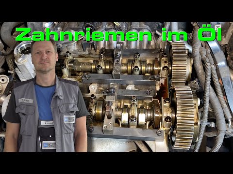Zahnriemen im Öl löst sich auf trotz Wartung beim Vertragshändler!