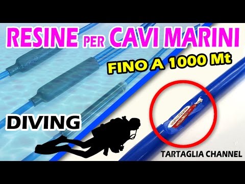 Quello che è lanalisi del sangue di se su un lyambliya Come eliminare vermi alla persona un tansy