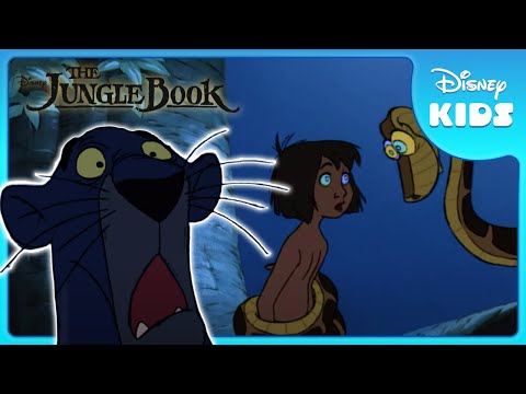 🌟 Bagheera Saves Mowgli! | Jungle Book | Disney Kids