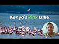 Why Every Kenya Safari Should Include Lake Nakuru Africa S Most Underrated Park