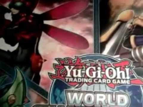 Report WCQ Regional Roma