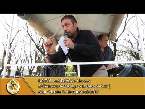 17-08-18 Venta de Machos - Nestor I. Goenaga y Cía. S.A. - Azul