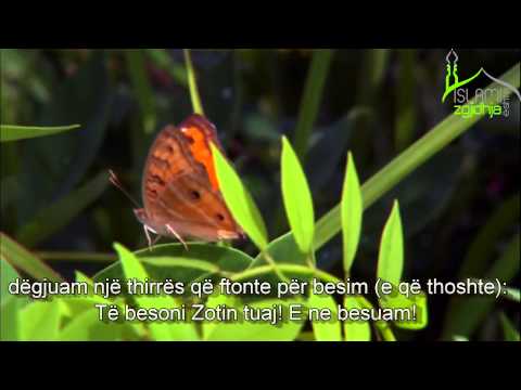 Surja Ali Imran (ajetet 190-195) Recitim i mrekullueshëm