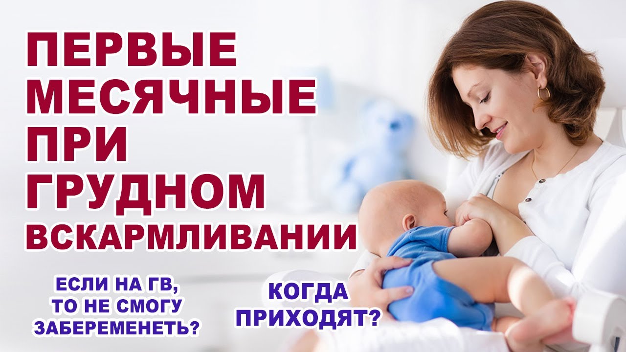Когда может начаться менструация при грудном вскармливании Месячные после родов. ГВ и овуляция.