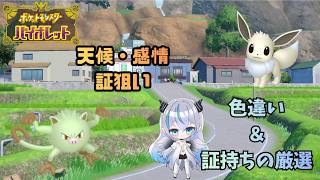 【ポケモンSV】 色違い＆証持ちの厳選をやる！    レアな証が欲しい🦇　初見・初心者歓迎💠 【魔天使ぺトラ】