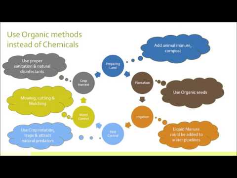 Organic vs Chemical Farming