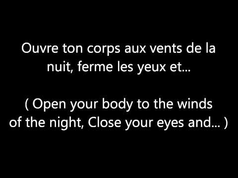 Garou & Céline Dion - Sous le vent (LYRICS + TRANSLATION)