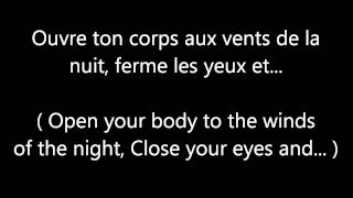 Garou &amp; Céline Dion - Sous le vent (LYRICS + TRANSLATION)