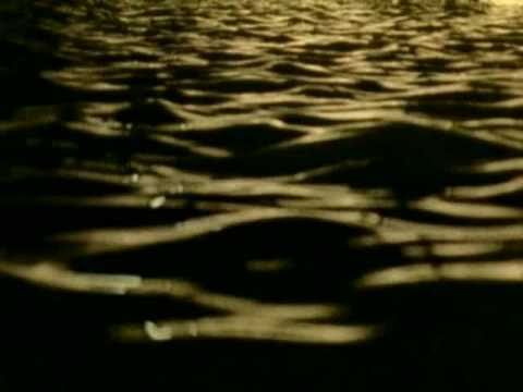 Videoclip de The Other Side of Summer — Elvis Costello
