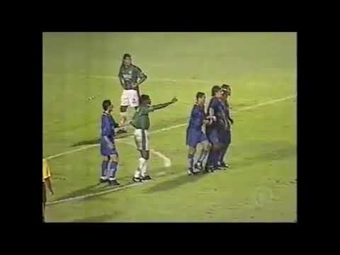PALMEIRAS 2 X 0 CRUZEIRO FINAL COPA DO BRASIL 1998 GOLS