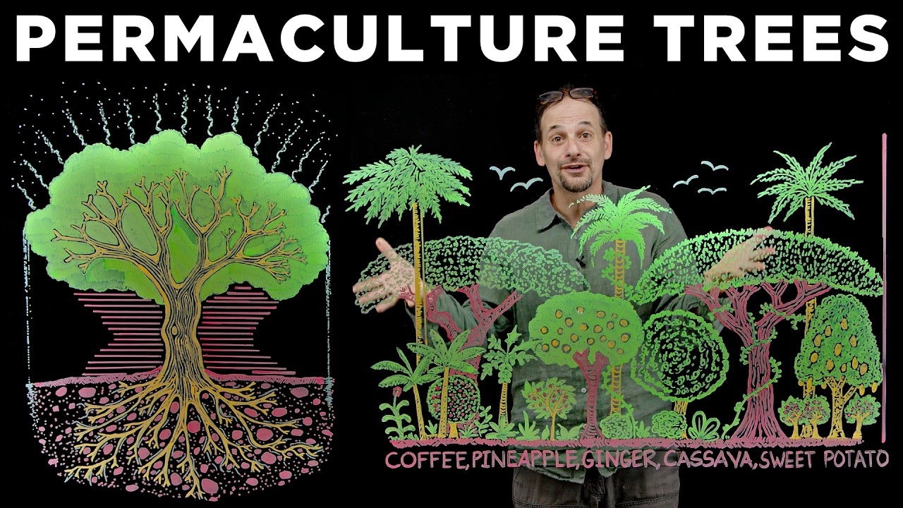 PERMACULTURE TREES: Why, Where, How?