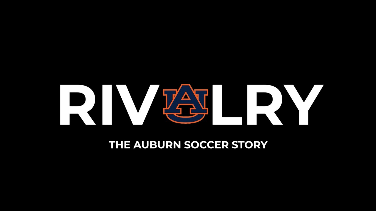 Video 2 image preview image