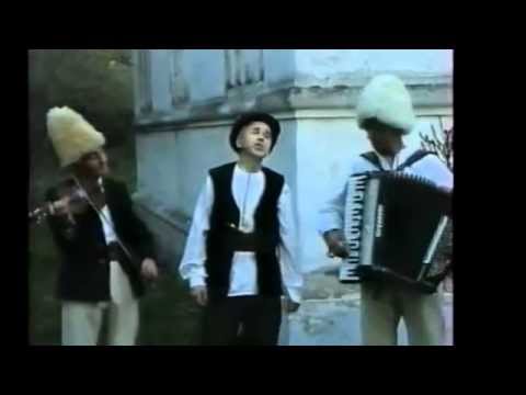 Paun Ilic   Muma mja