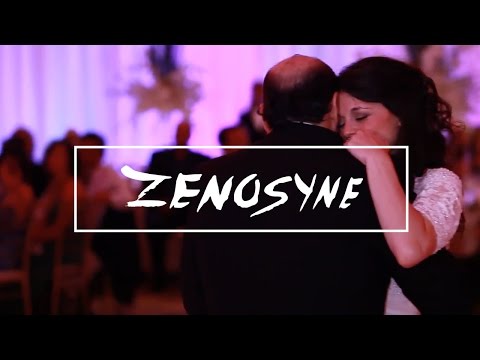 ゼノシン：時間が速くなり続ける感覚 (Zenosyne: The Sense That Time Keeps Going Faster)