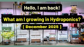 What am I growing | Dec 2025 | Aerogarden iDoo LetPot Spider Farmer AHopeGarden RainPoint Mufga