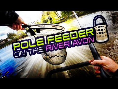 Pole Feeder On The River Avon!