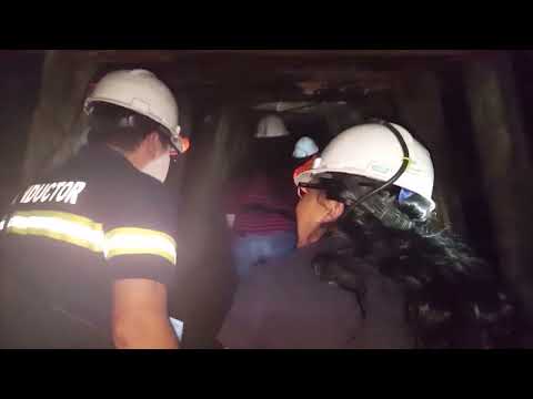 Más de 40 mil personas visitaron el Circuito Patrimonial de Lota en verano: balance fue "positivo"