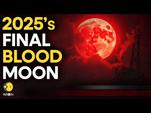 Blood Moon Alert: Get Ready for 2025’s Final Lunar Eclipse  | WION Originals