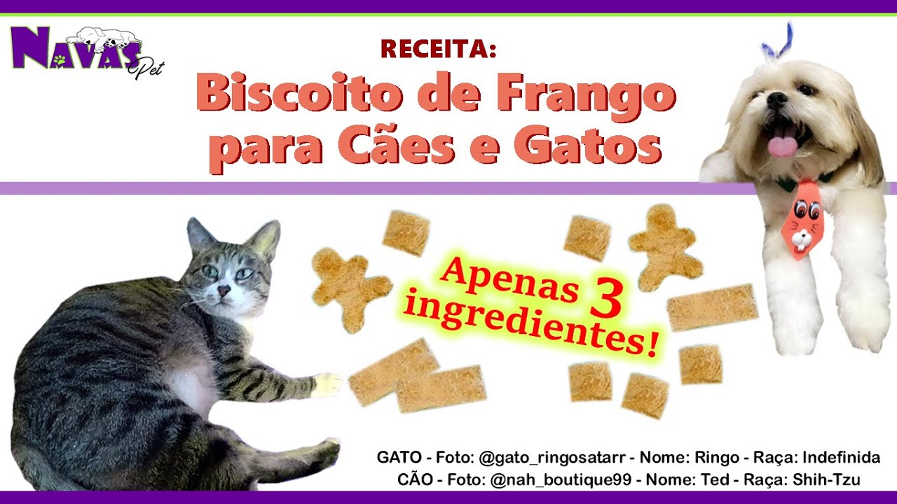 Biscoito de Frango para Cães e Gatos - Super simples e fácil!