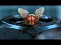Eecha I Mazhavil Multiplex I Mazhavil Manorama