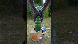 Download lagu Survival Skills SMART IDEA Found MONSTER MAN In Forest #survival #outdoor #bushcraft #useful mp3
