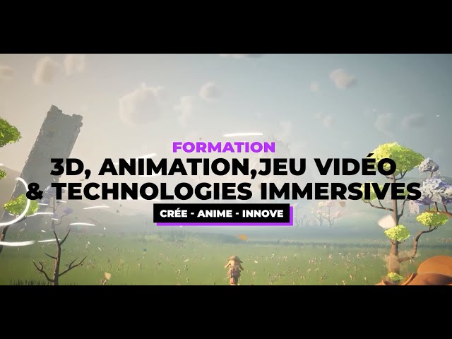 Formation 3D, Animation, Jeu Vidéo et Technologes immersives