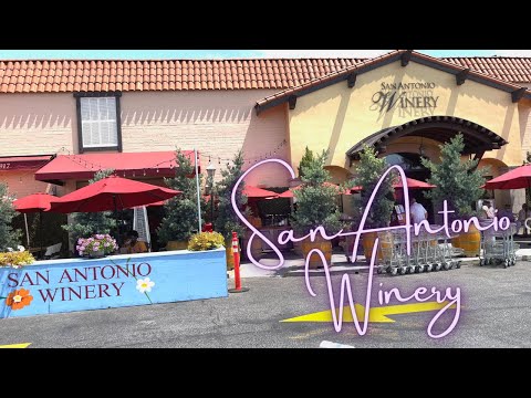 Vinícola San Antonio (Los Angeles, Califórnia) [4K]