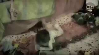 6 Brujas Captadas en cámaraY VISTAS en la vida real