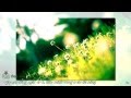[Vietsub + Kara] Green Fields - The Brothers Four ...
