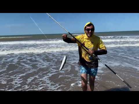 Pesca variada a full en balneario de San Cayetano, habrá salido algún cazón 