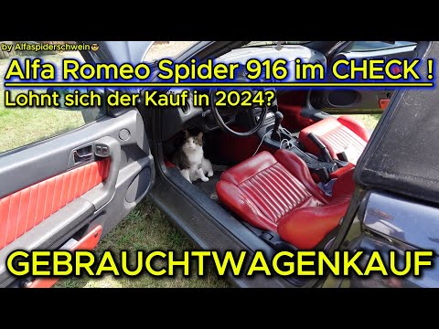 ALFA ROMEO SPIDER 916 im GEBRAUCHTWAGENCHECK 2024🍀SPASS - CABRIO mit OLDTIMER POTENTIAL ?