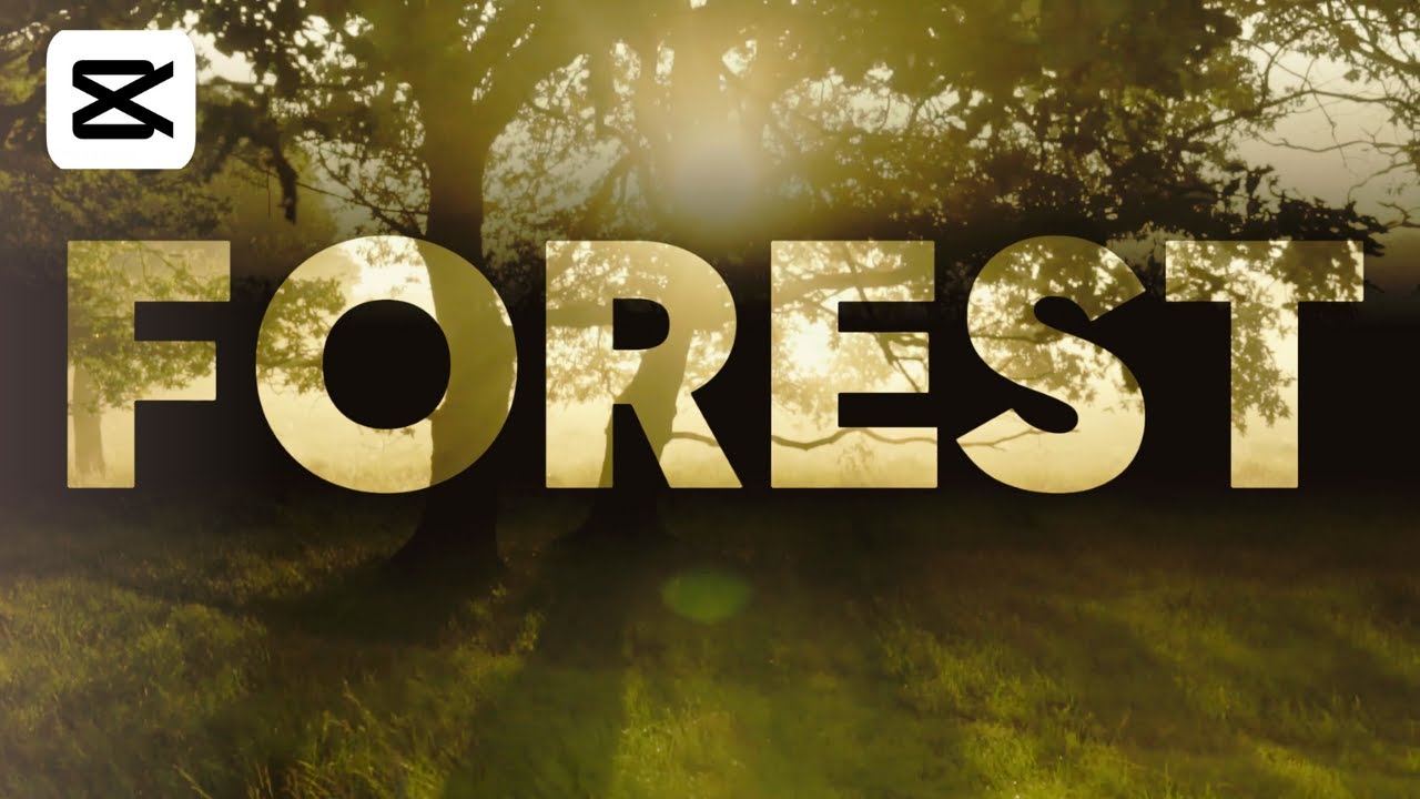 CapCut 2024 | TEXT Passage Through The Forest - TEXT TRANSITION