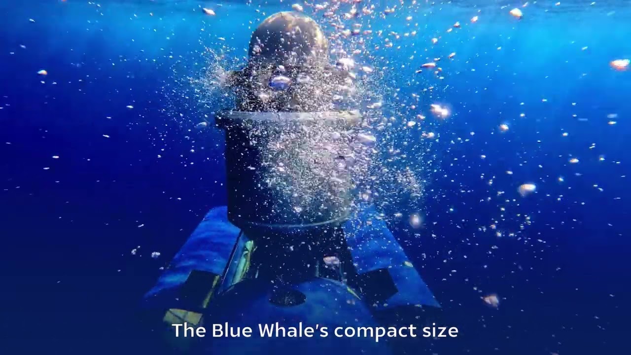 IAI-ELTA Systems Ltd. - BlueWhale System Autonomous Submarine System