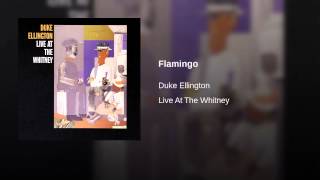 Flamingo (Live) (Whitney Museum)
