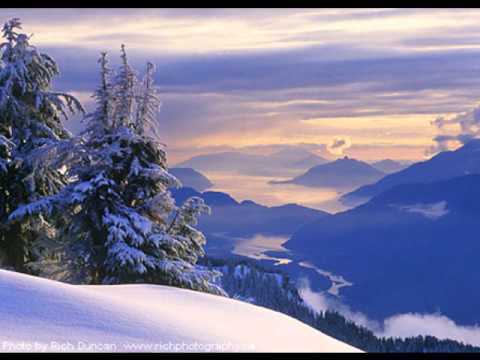 Say You Will Freeze - Jaybee vs Roy Gates (DJ3viLTwin mashup)