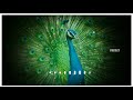 Flute Ringtone Remix Feelings BGM Whatsapp Status