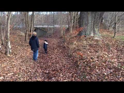 DEN BORTGLÖMDA FOTBOLLSPLANEN