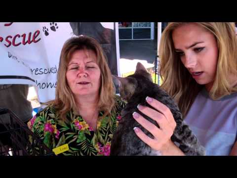 Liz Leyda attends the 1st Annual 'Cuts 4 Critters' and PET Adoption event