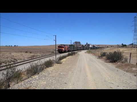 Comboio de Minério n.º 55982/3 - Panóias