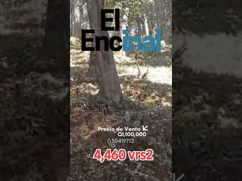 #Terreno #enventa #elencinal #zona7 #mixco #Guatemala 👉📞 502 30419712