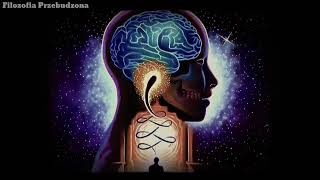 Zaprogramowani żeby być biedni