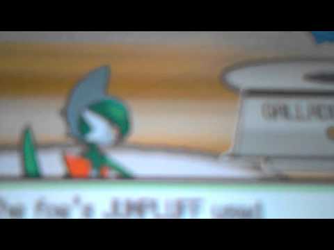 pokemon soul silver erika rematch